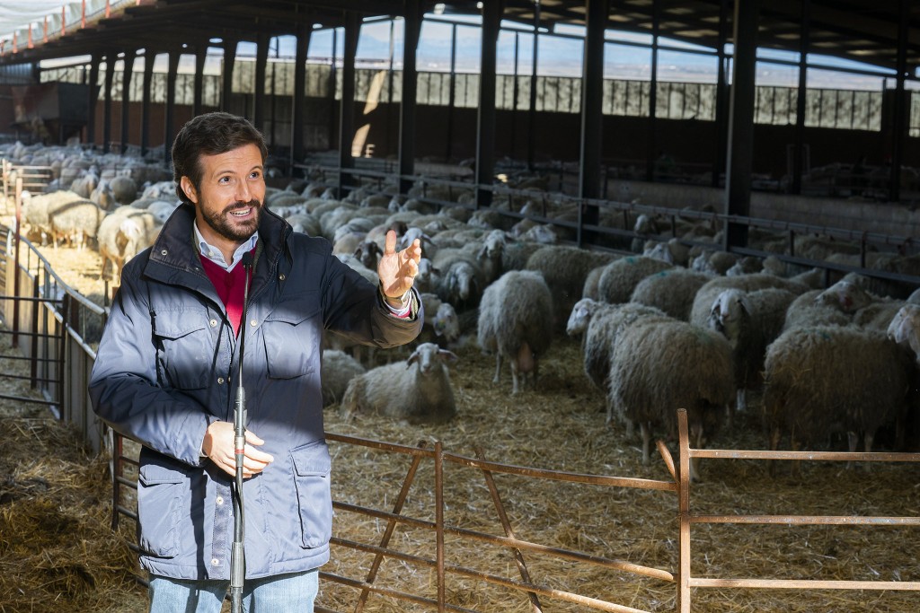 Pablo Casado en una granja- En pleno bulo de macrogranjas