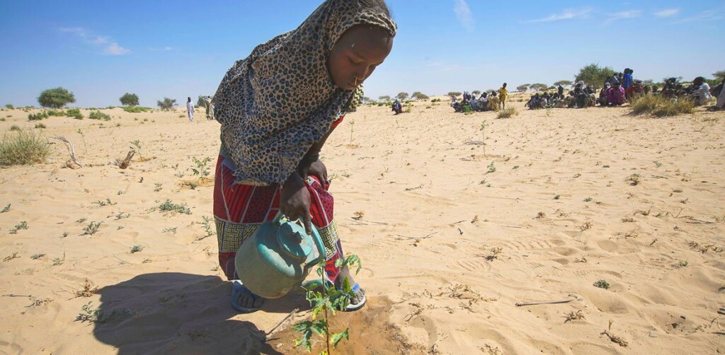 Fuente:  PNUD. Jean Damascene Hakuzimana Una niña riega semillas en Merea, en el lago Chad, actividad que se ha convertido en su quehacer cotidiano. 