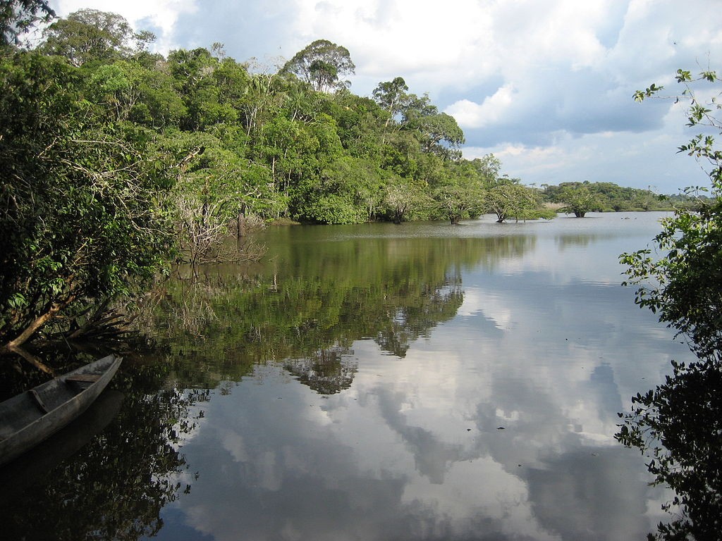 amazonia ecuador