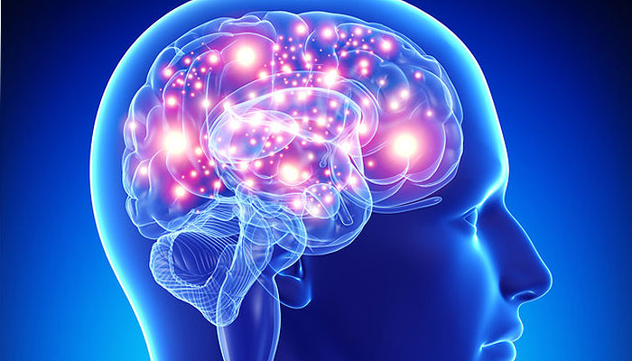 cerebro-estimulacion