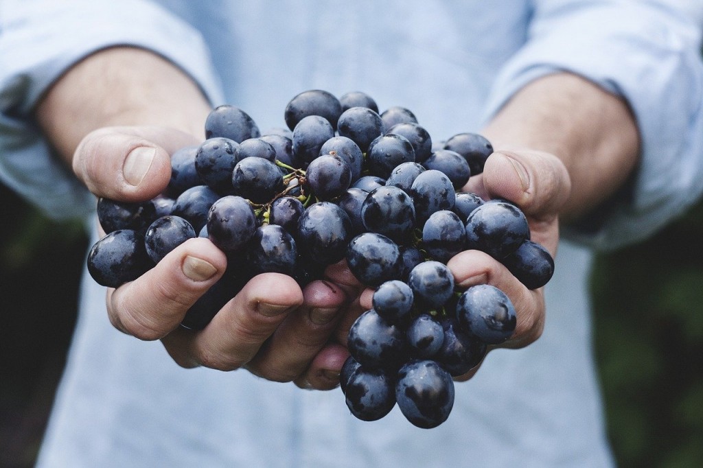 uvas alimentos comida 