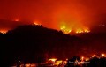 Los «burros bomberos» y otras soluciones contra los incendios en España llegan a la CNN