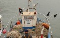 pescador,roses