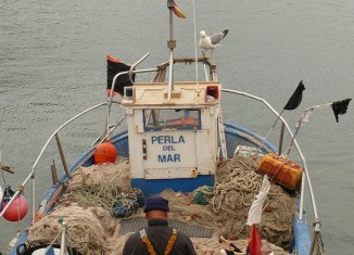 pescador,roses