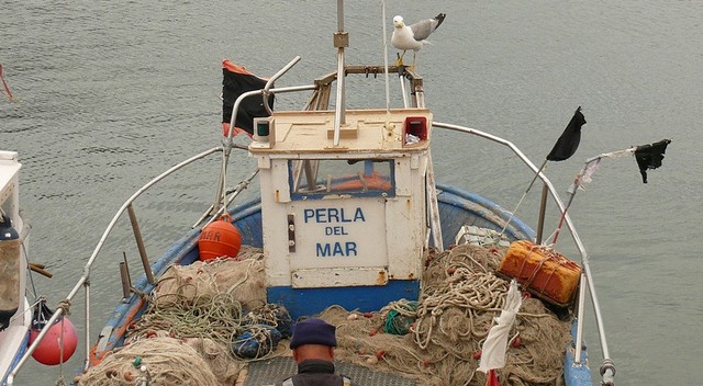 pescador,roses