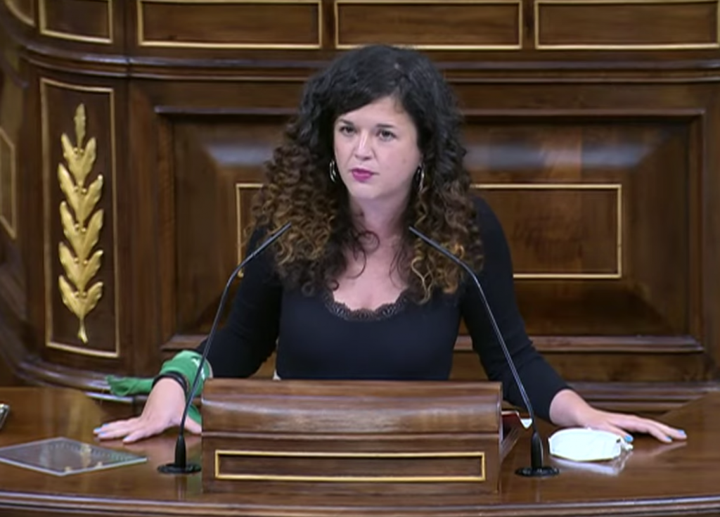 sofia castañon congreso aborto