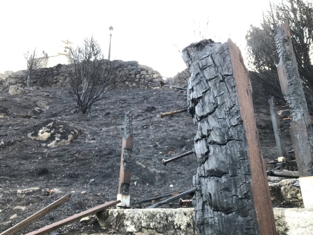 tronco quemado en Monte do Alba